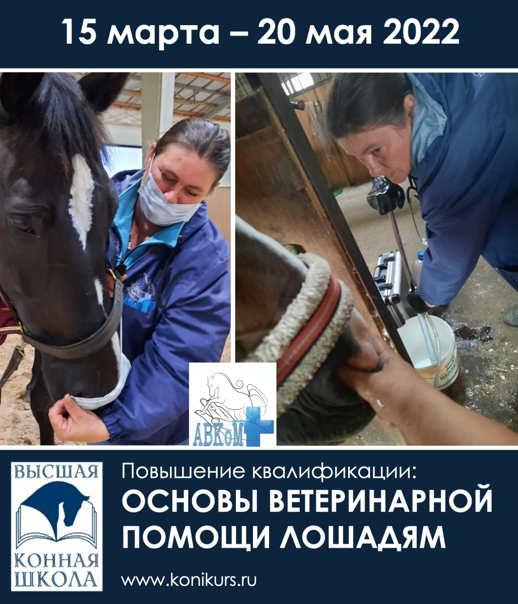 Курс повышения квалификации: «Основы ветеринарной помощи лошадям»