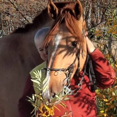 Оксана Савельева: не нужны медали и дипломы, если лошадь испытывает дискфомфорт, фото 3