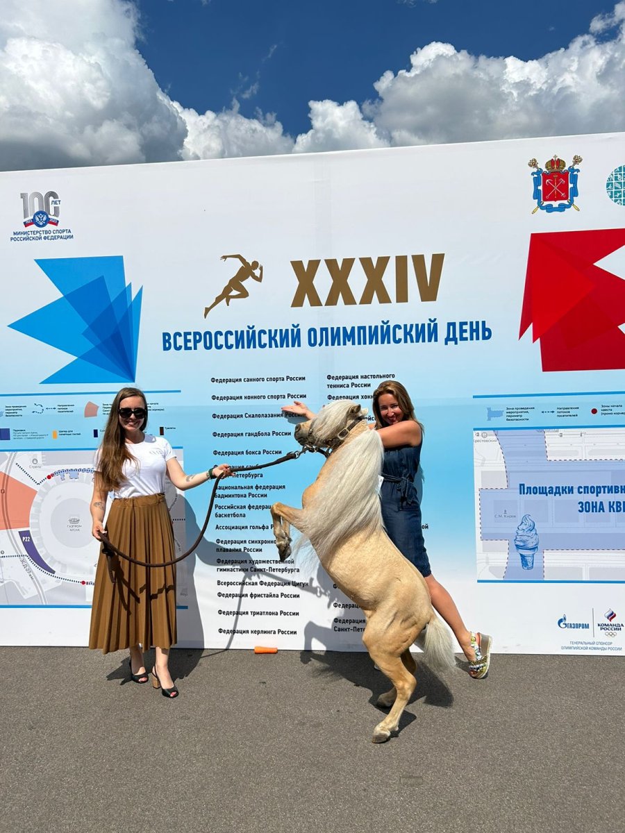 Олимпийский день в Петербурге: конный спорт собирает семьи и овации